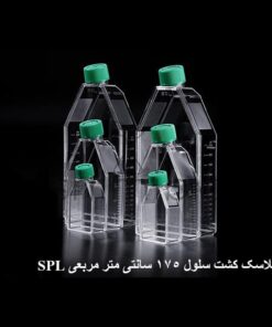 فلاسک کشت سلول 175 سانت SPL