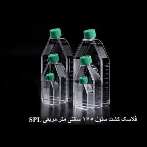 فلاسک کشت سلول 175 سانت SPL