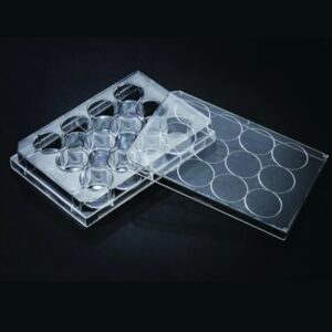 پلیت 12 خانه کشت سلول SPL