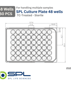 ابعاد پلیت 48 خانه کشت سلول استریل چسبنده SPL