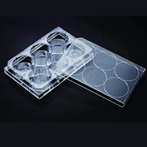 پلیت کشت سلول 6 خانه SPL