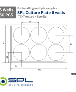 ابعاد پلیت کشت سلول 6 خانه SPL