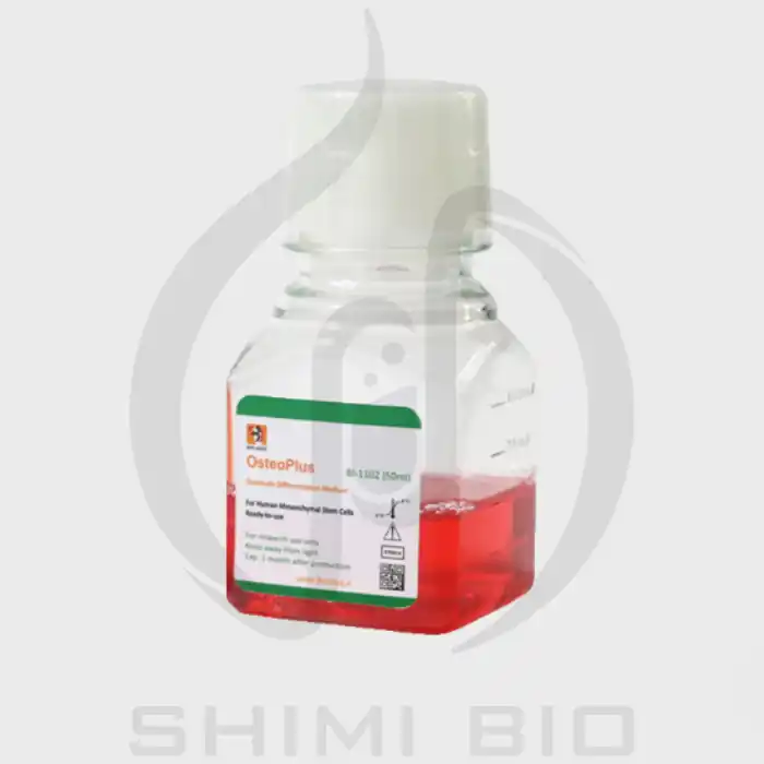 محیط کشت استئوژنیک بایوآیدیا 50 میلی