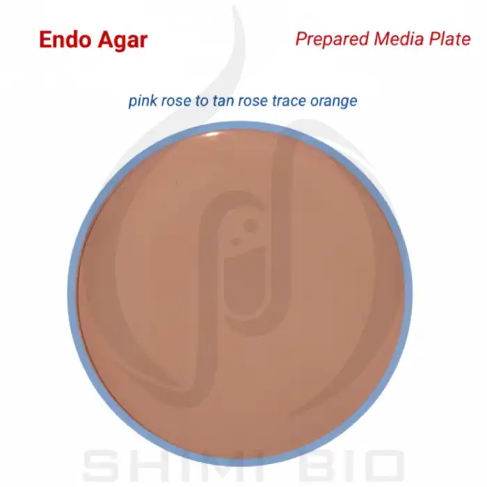 محیط کشت اندو آگار ایبرسکو